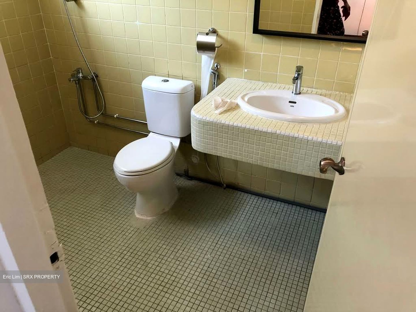 Laguna Park (D15), Apartment #566535781